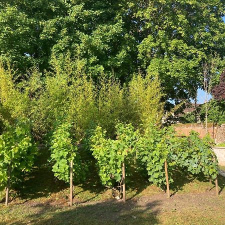 Pierres Et Jardins Panzió Senlis  Kültér fotó