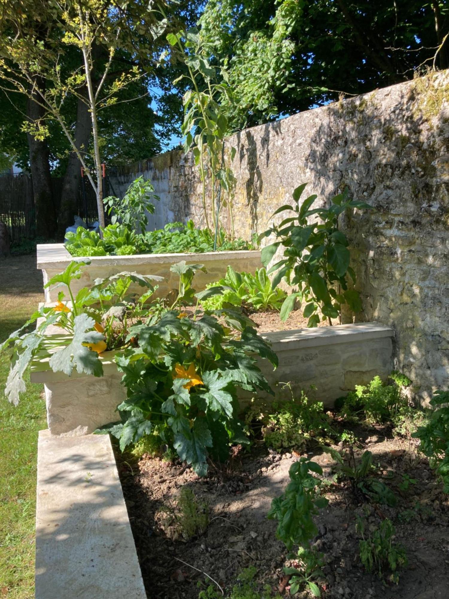 Pierres Et Jardins Panzió Senlis  Kültér fotó