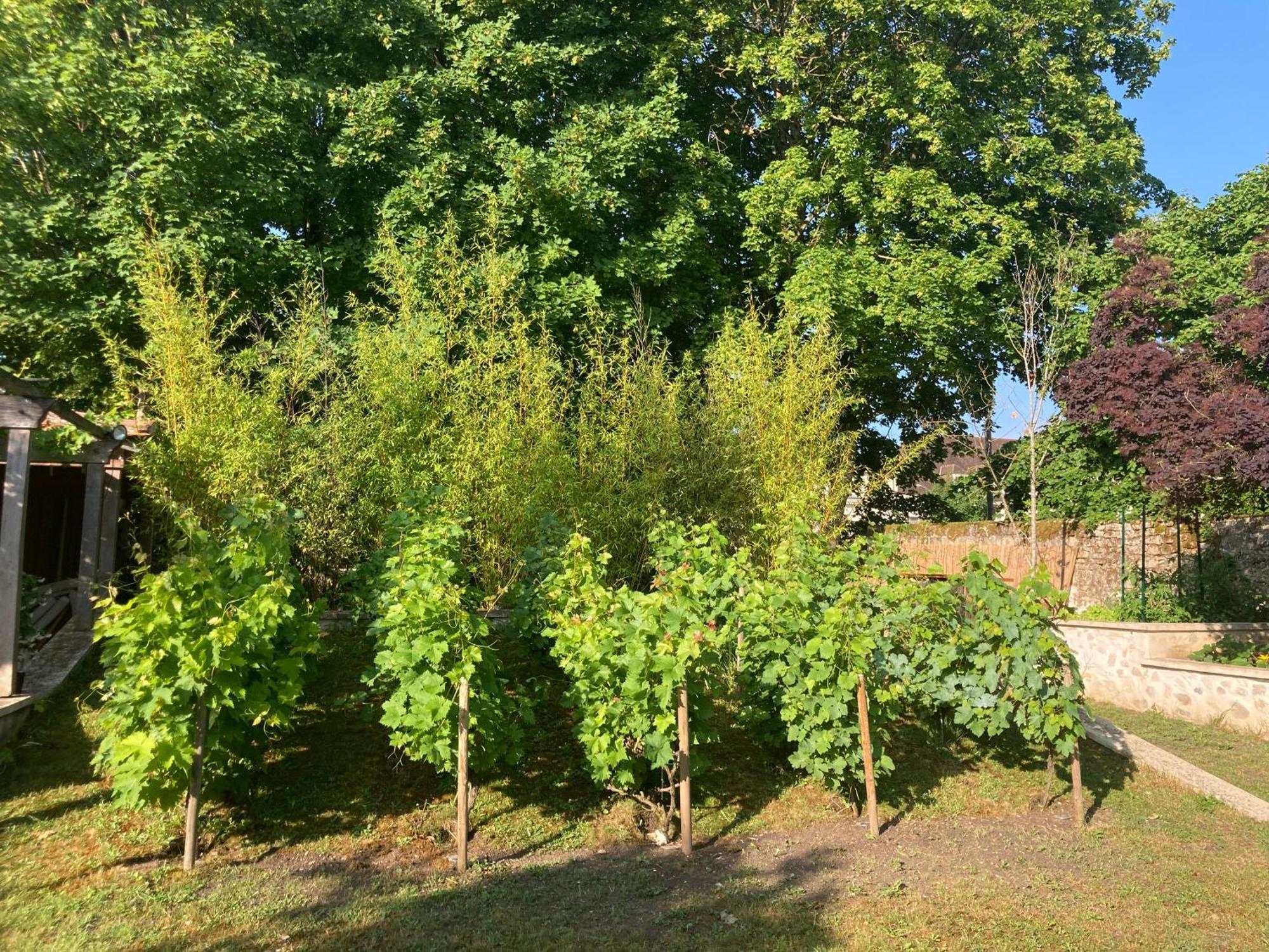 Pierres Et Jardins Panzió Senlis  Kültér fotó
